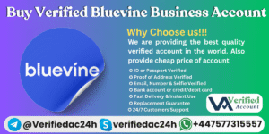 Buy Verified Bluevine Business Account